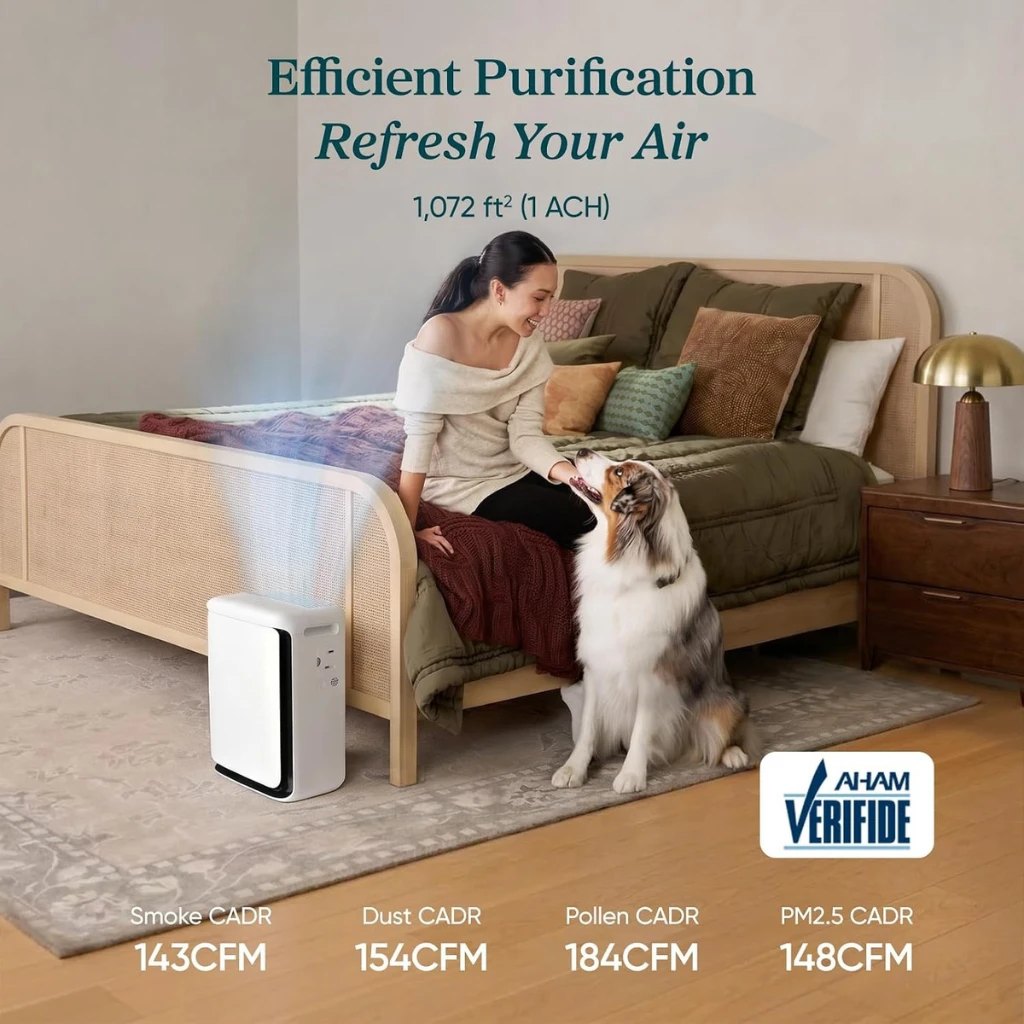 Efficient purification in a pet home