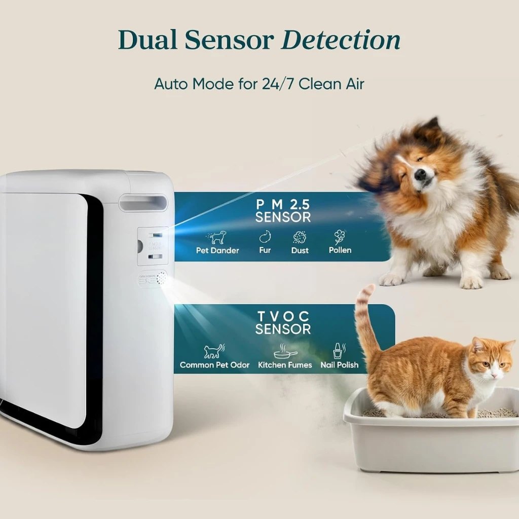 Dual sensor detection with Auto Mode